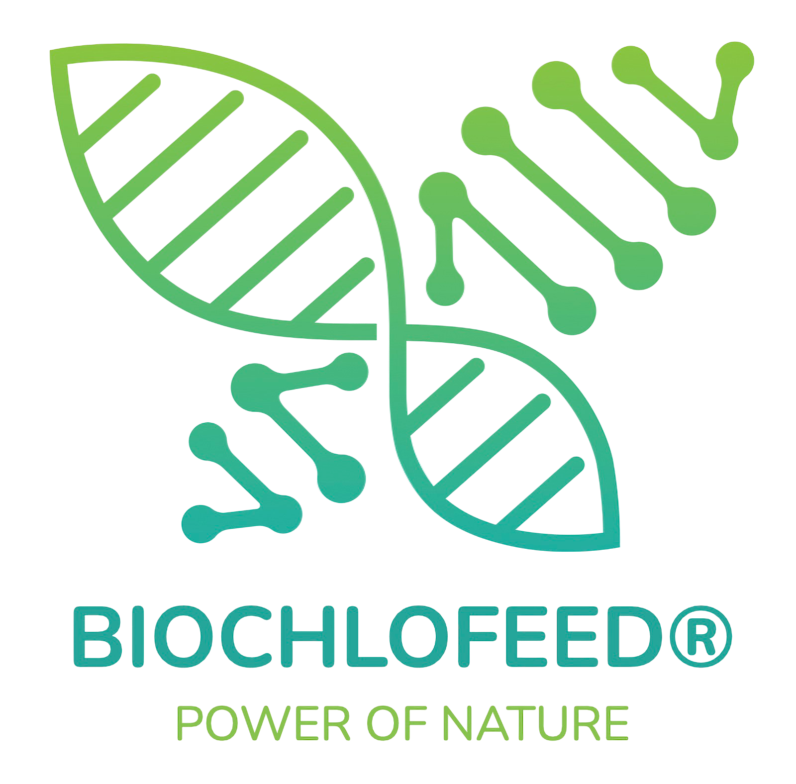 BIOCHLOFEED — Power of Nature