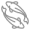 Survival rate of carp fingerlings