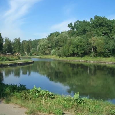 Treatment of settling pond Bitza (Moscow region)